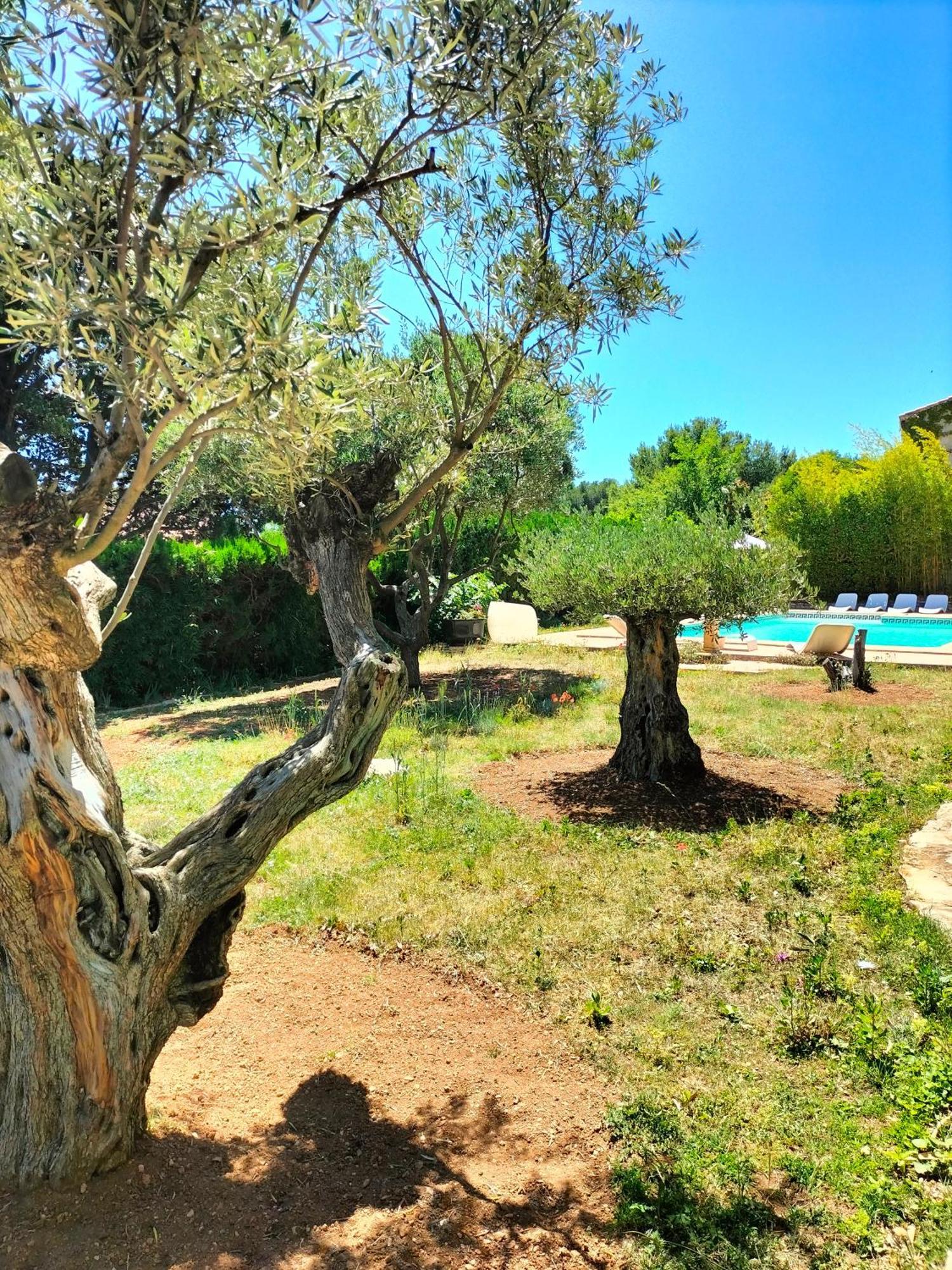 Vacances Carnoux-en-Provence Exterior photo
